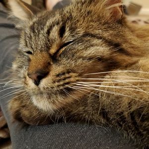 Meet your Posher, Kim